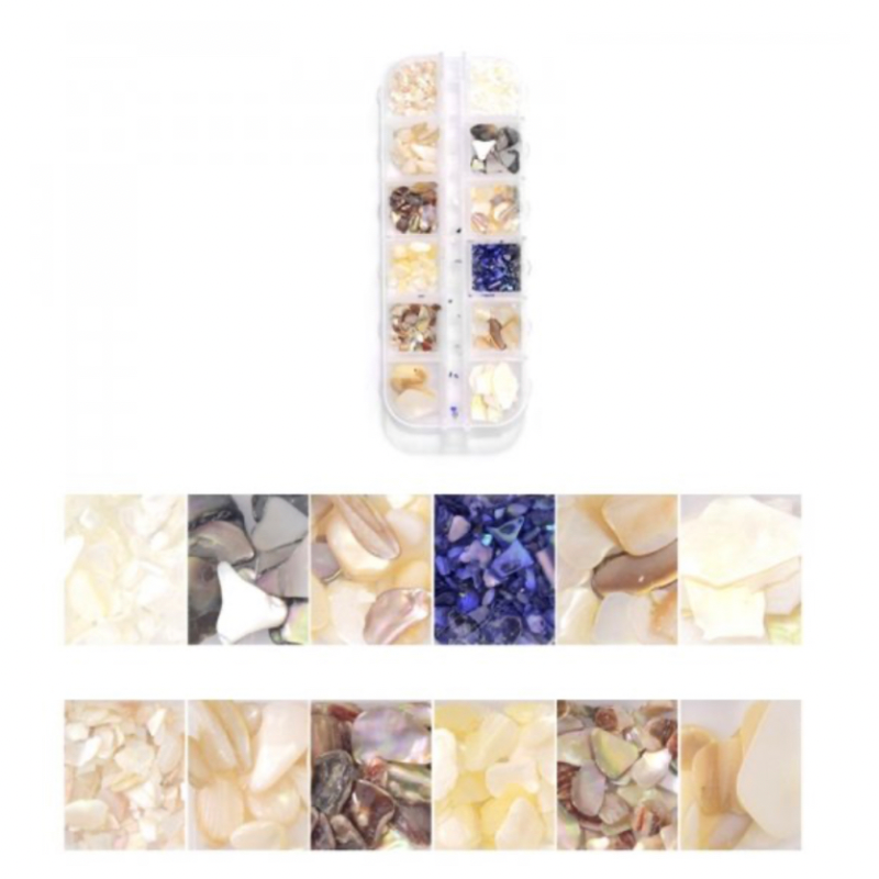 LNB Set of 12 Decorations-Flat Shell 3