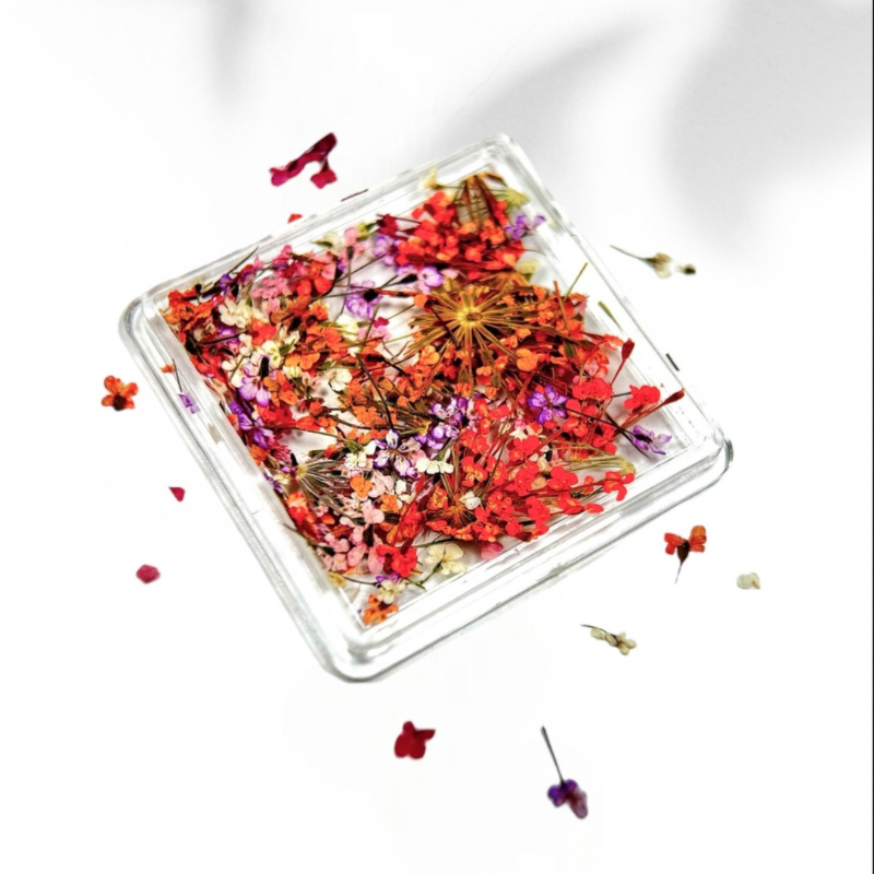 NOKE BLOOM ART PINKS Dried Flowers