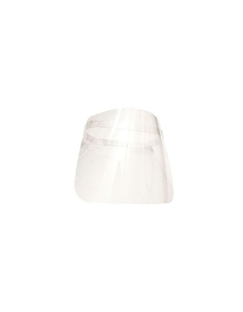 Face shield visor