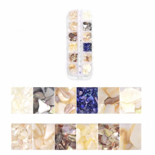 LNB Set of 12 Decorations-Flat Shell 3