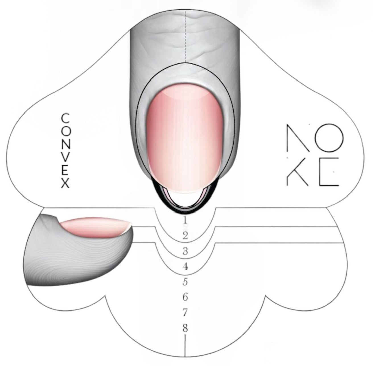 Noke Nail Forms Convex Aluminium 100pcs