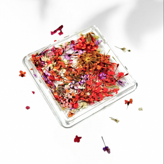 NOKE BLOOM ART PINKS Dried Flowers