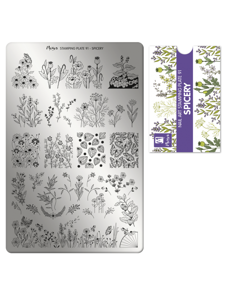 Moyra Stamping Plate 91 Spicery